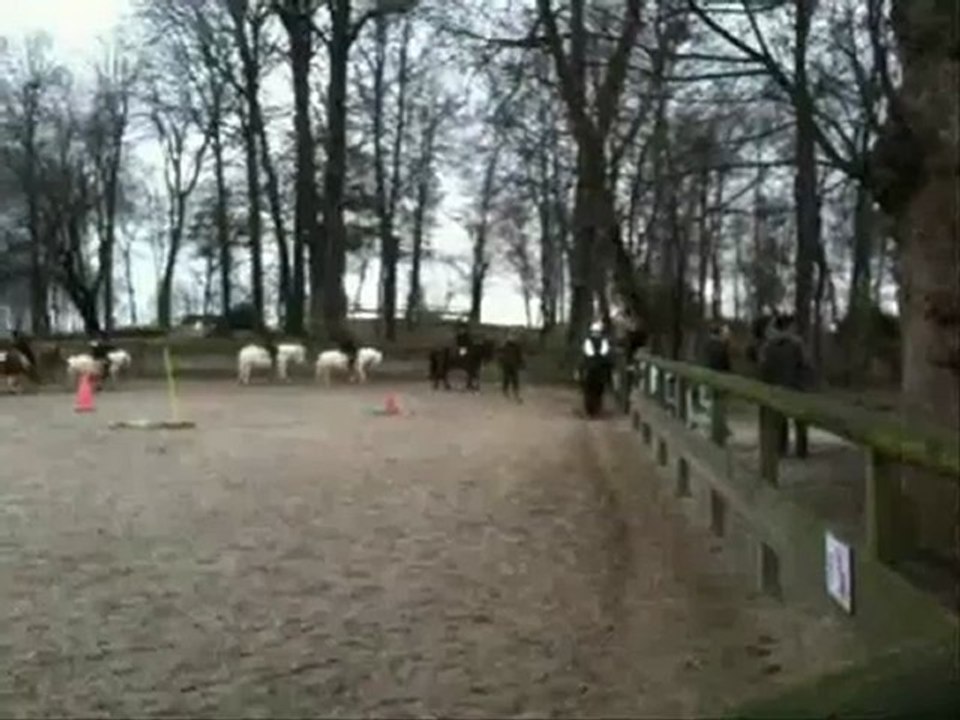 GALOP