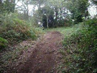 stang blanc sur le bleu