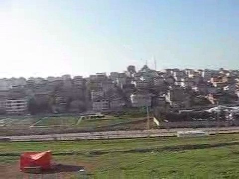 Dişi Mavi- Eke kuş