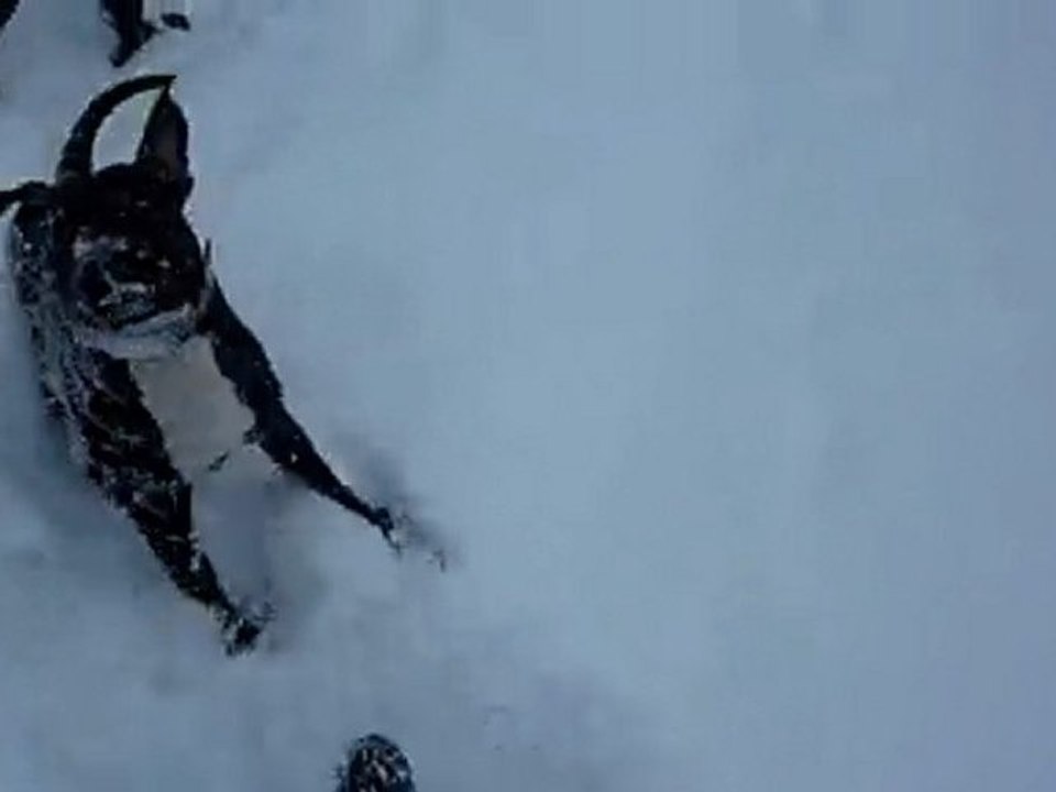 Luna american staff dans la  neige 2010