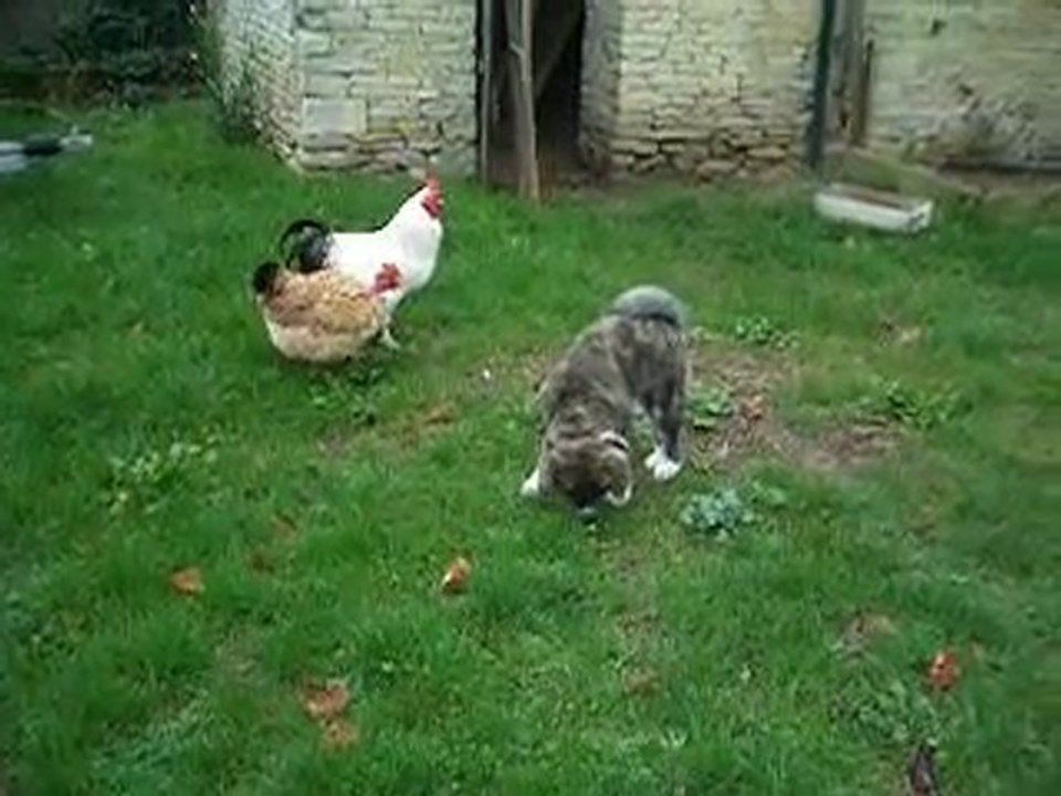 Eiko rencontre Mozart et Mylène