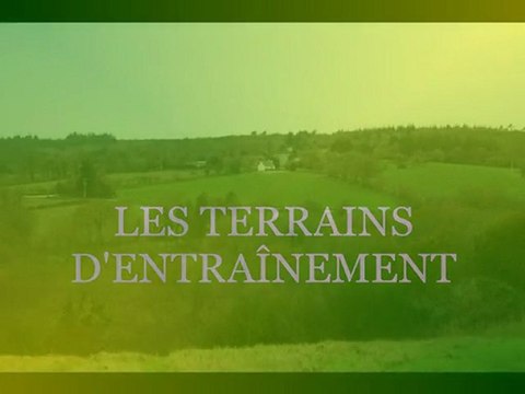 Field Trial Automne et bécasses Elevage du canal de lunel