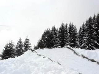 Ski à la Terche - Wax-One