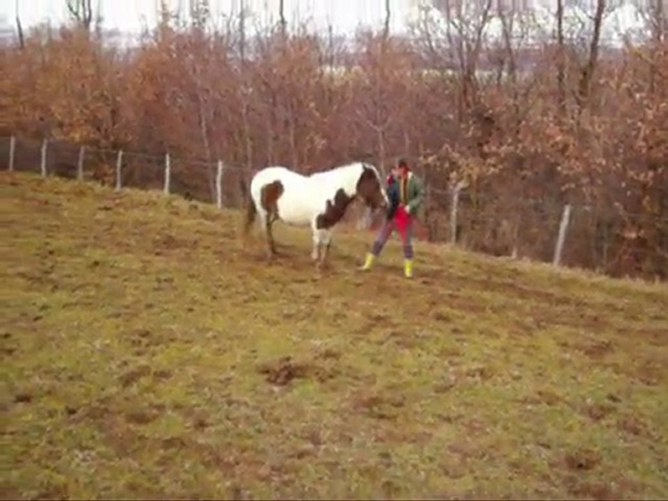 Début de l ' année 2o1o