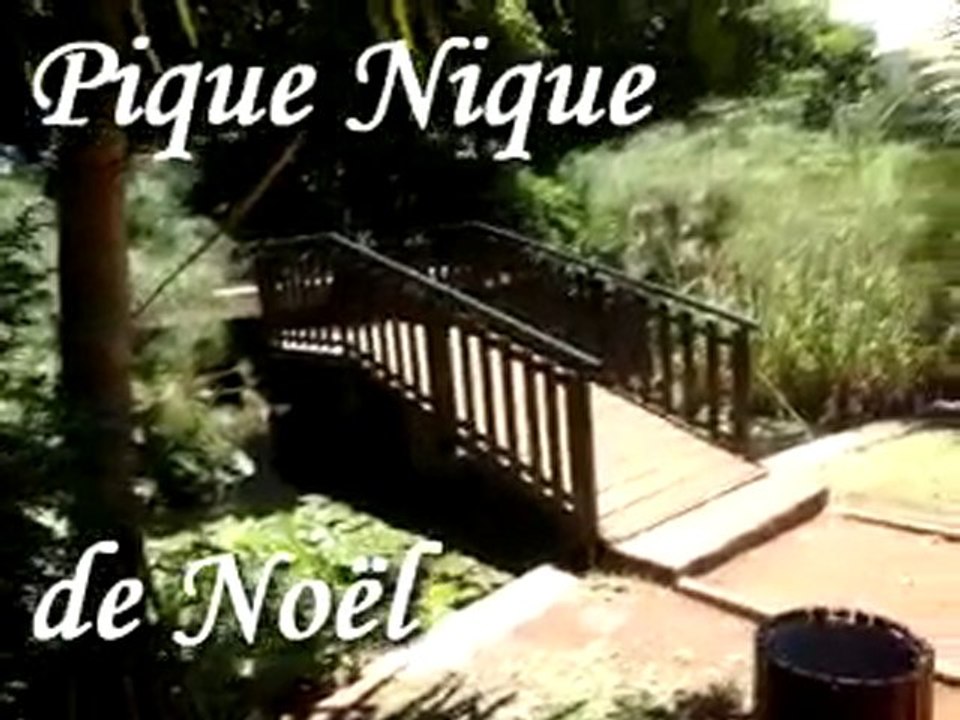 picnic de Noël