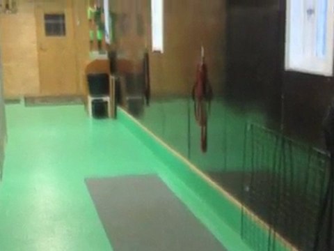 Hundpensionat Nybro Gunnarsmo Hundpensionat