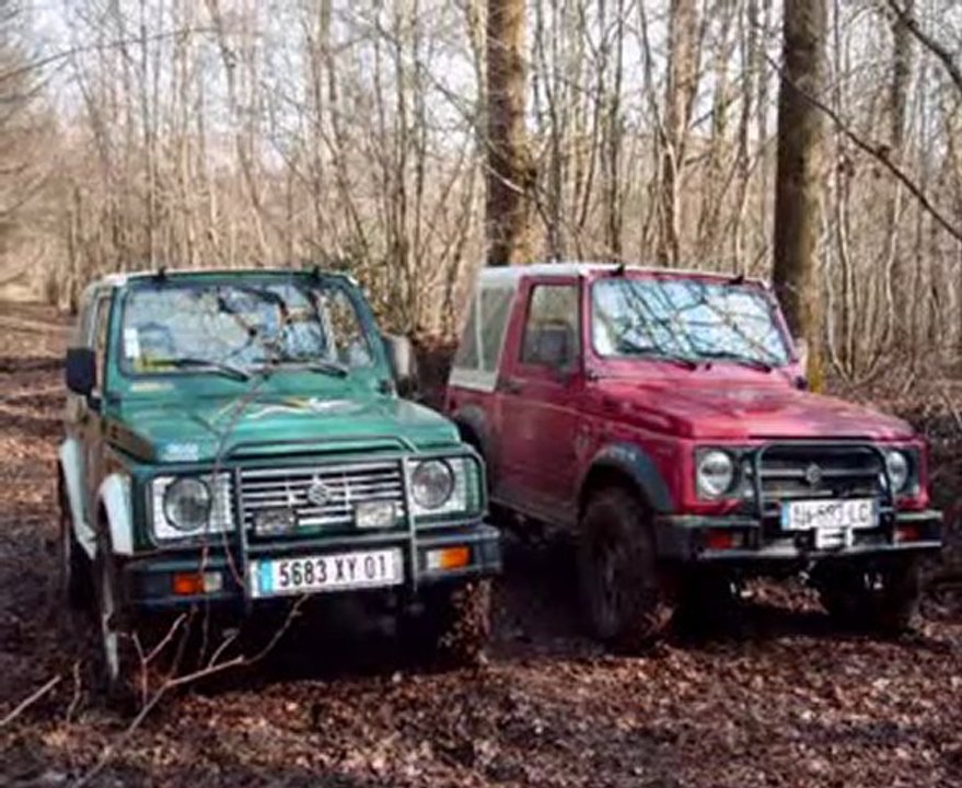 Promenons nous dans les bois....