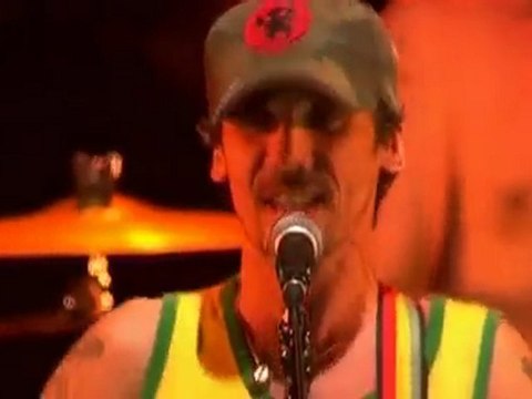 MANU CHAO : la valse à SARKOZY ( live pont du GARD )