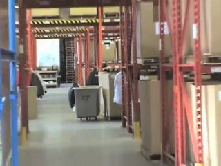 Exploring Canada Goose