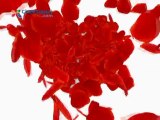 CicekSepeti.com Sevgililer Günü TV REKLAMLARI