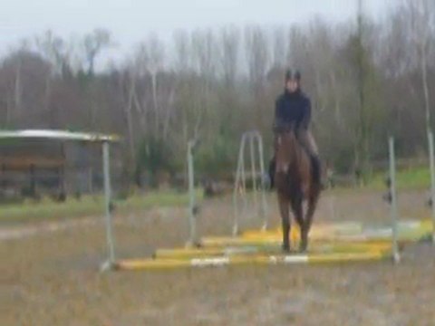 Perlani : barres a terre