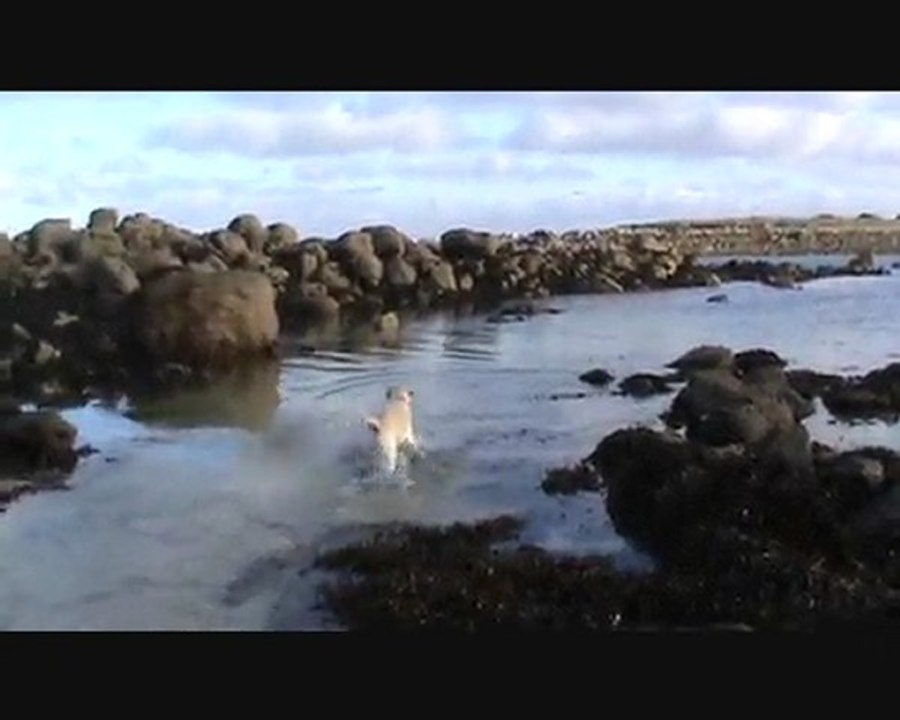 mes pieds nickelés de plage