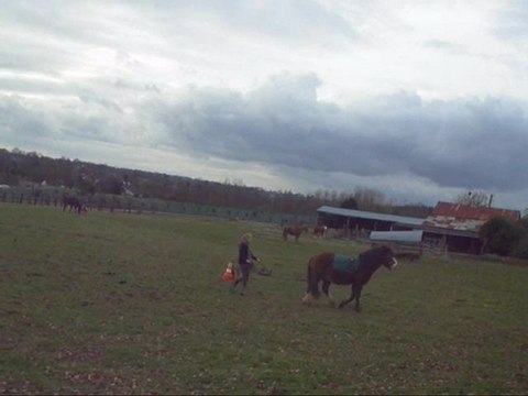 Débuts aux Longues renes