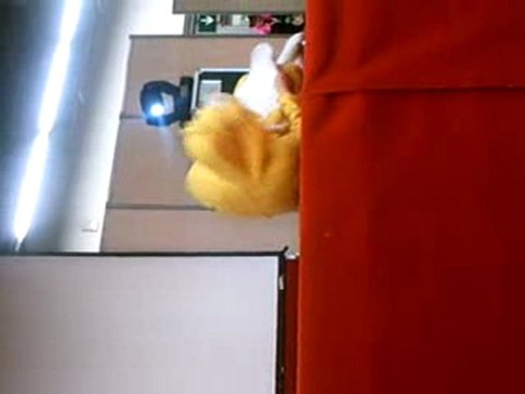 Bisounours magicarpe - Paris manga février 2010