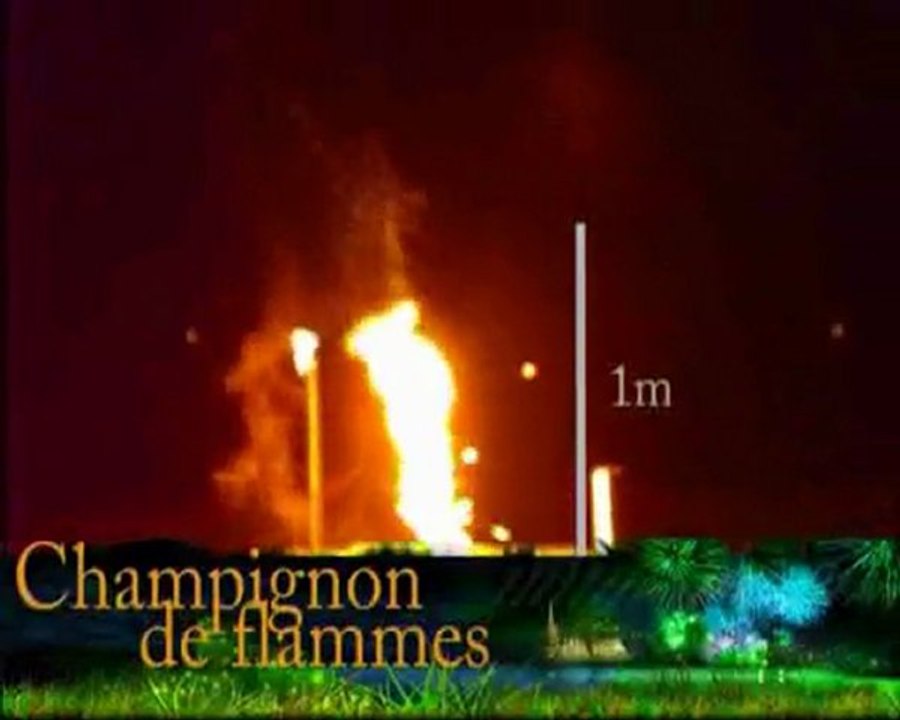Champignon de flamme