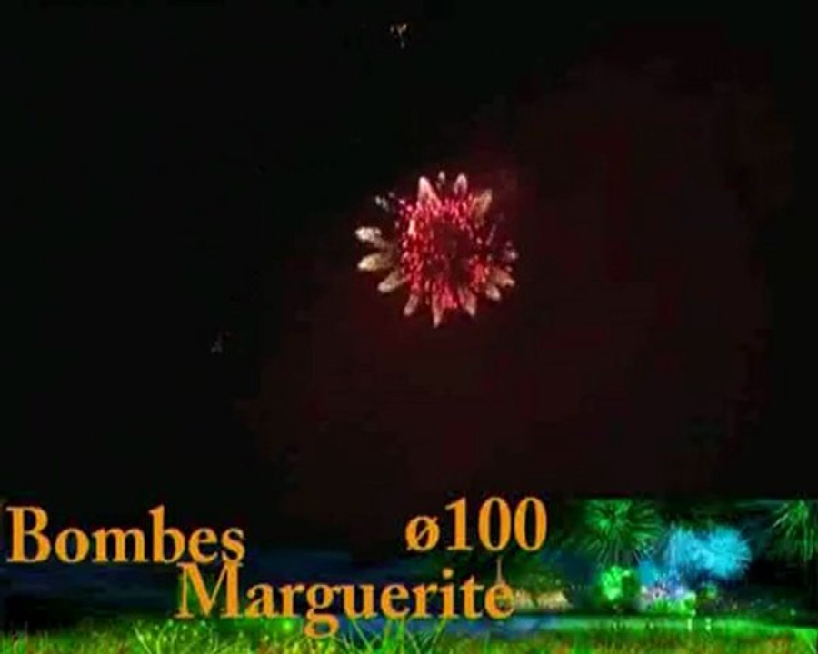 bombes marguerittes 100