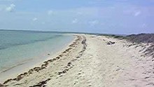 Ile déserte à Veracruz