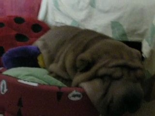 Quand Eliott dort....