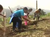 Cultivando esperanzas, cosechando un futuro mejor