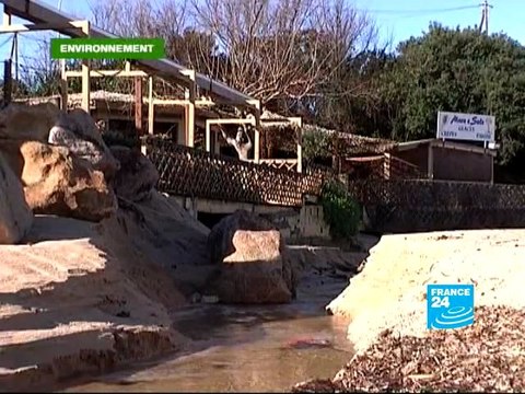 Développement durable et politique: tous en campagne!