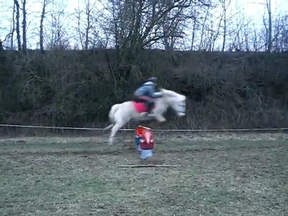 Oscar saut