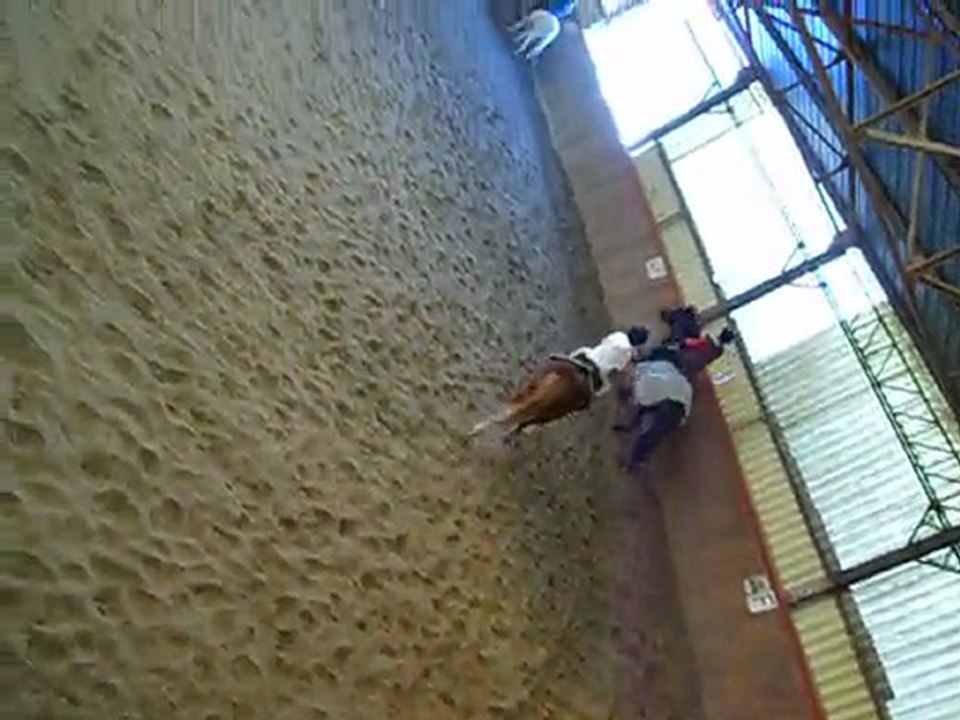 cours du 1o /o2 / 2o1o