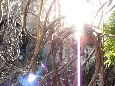 Sculptures-Vivantes le 5 février 2010_chap3