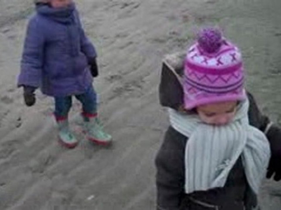 Den Haan Février 2010