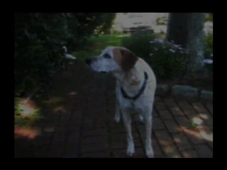 4-FINAL-MORN1-REVISED