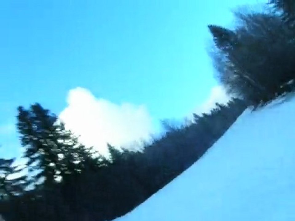 Chenille en luge : tete à queue dans la neige