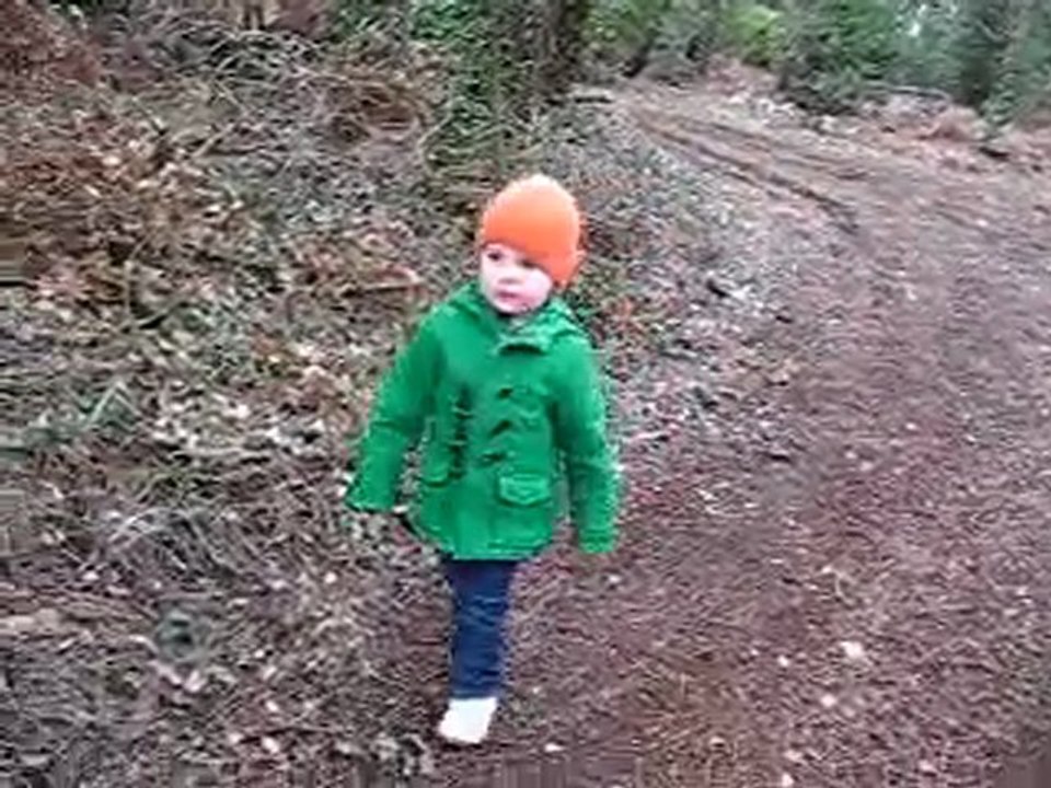 Balade dans les bois
