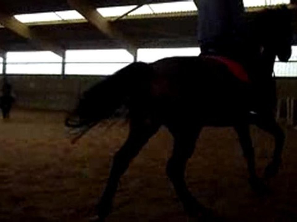 Alexis & Royalty au Galop.