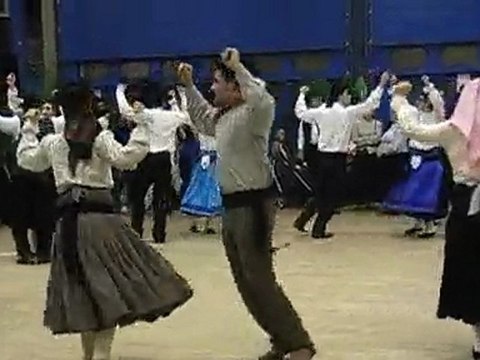 Flores De Lafoes - 06/02/2010 - Vira Valseado