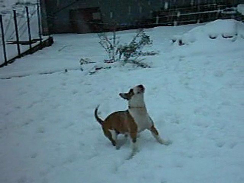* *  BUFFY DES NEIGES 2  * *