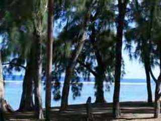 MALAKAF --dètrui pa nout pèi--  ile de la reunion