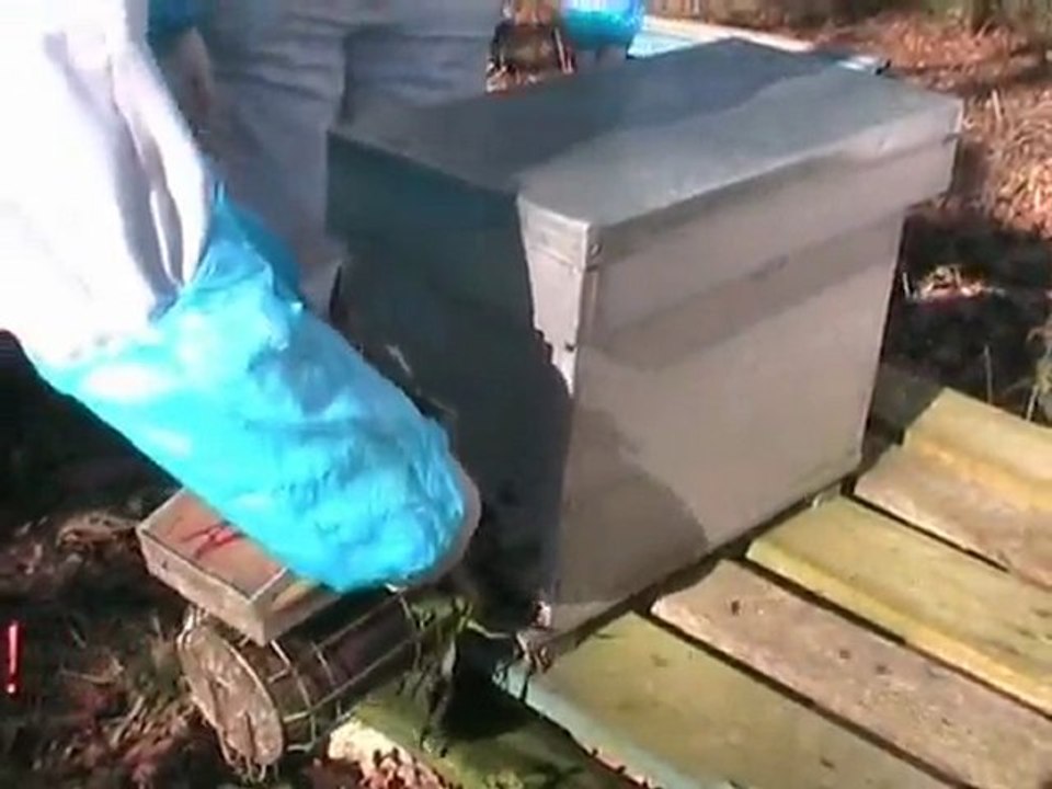 Apiculture hiver 64