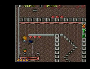 The New Zealand Story - Speedrun Superplay