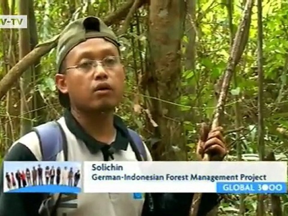 Environmental Protection in Sumatra | Global 3000