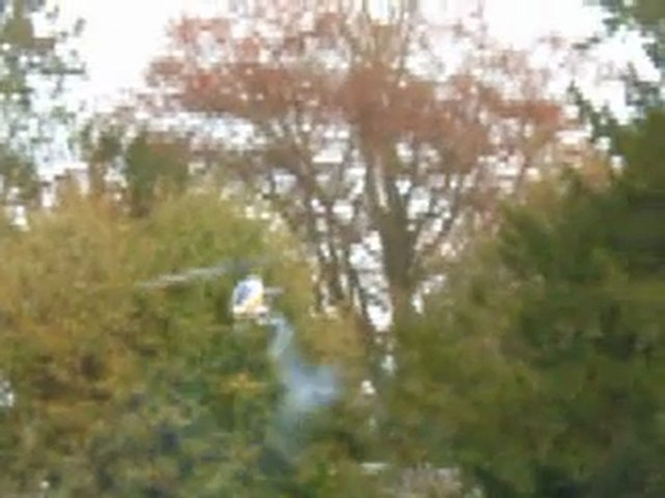 Démonstration T-rex 600 Chateau du Taillis (partie 3)...