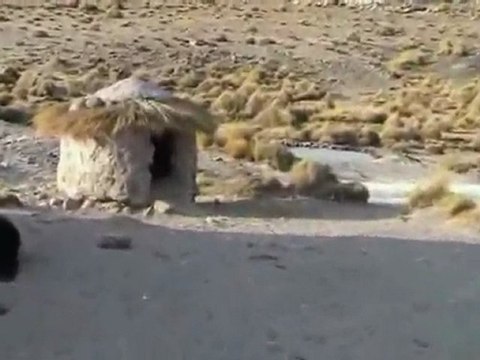 D'AREQUIPA AU CANYON DE COLCA AU PEROU