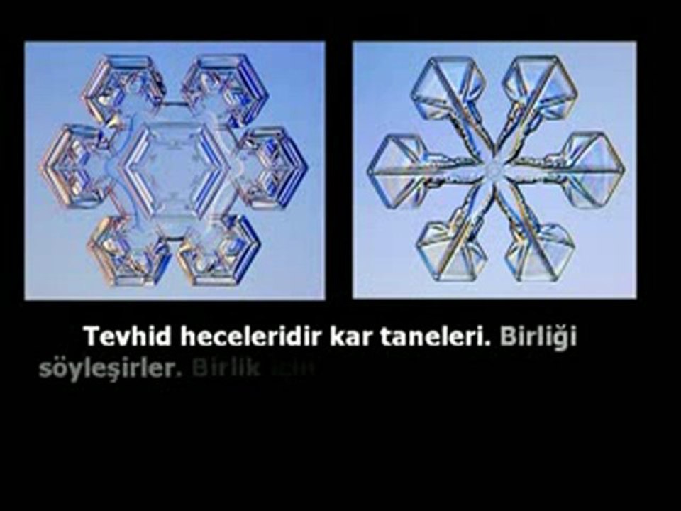 KAR TANELERİ