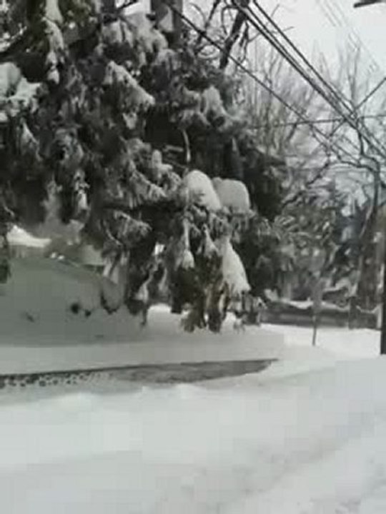 Video 1 - Blizzard 2010 - 2/10/10 4:30p (Takoma Park, MD)