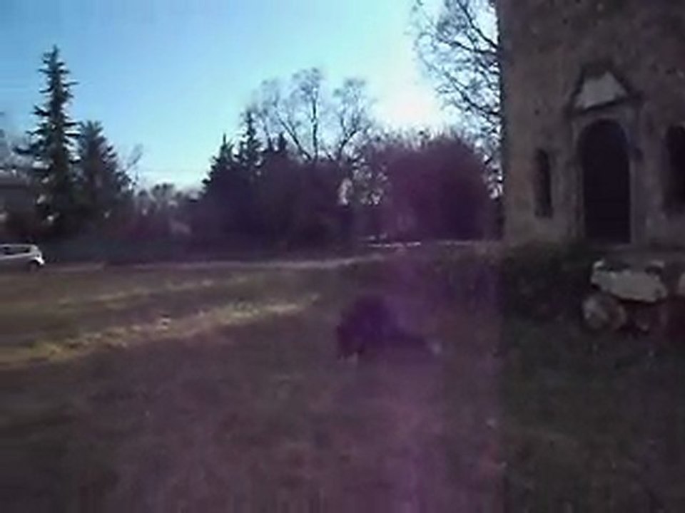 salto avant christophe,adrien;victor;raphet didjo