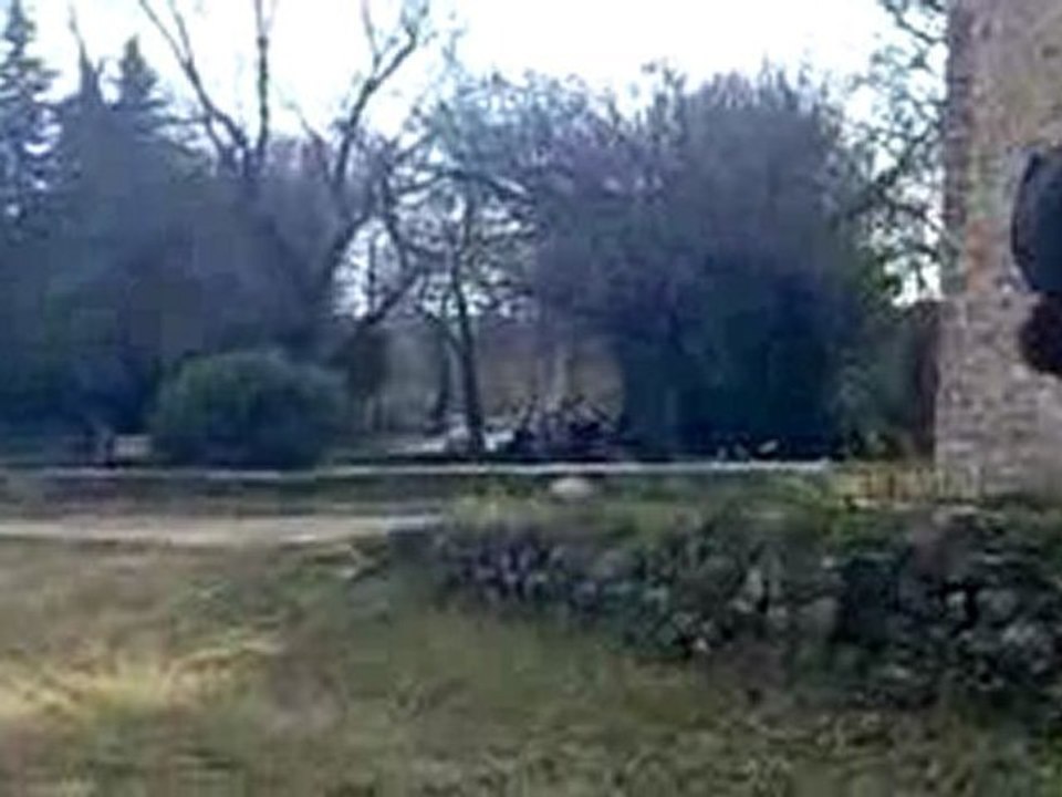 salto avant adrien,christophe,victor et didjo