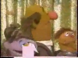 Classic Sesame Street - Happiness Begins At 40