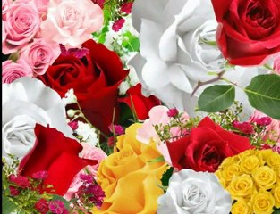 Earn Money - Independent Wealthy