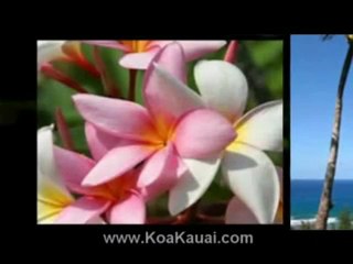 Kauai Luxury Homes