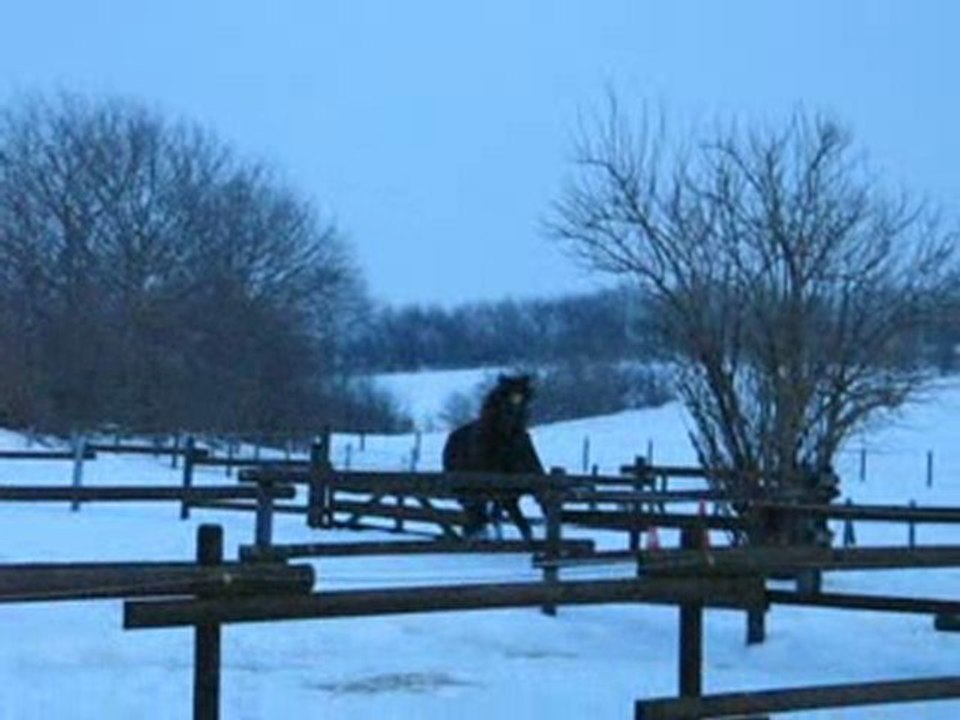 Dibo und Letti beim Spielen
