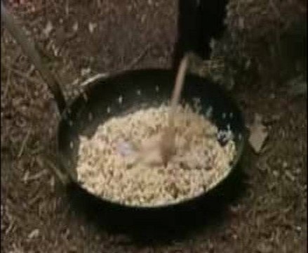 GB: ITV condamnée pour cruauté envers un rat tué puis mangé