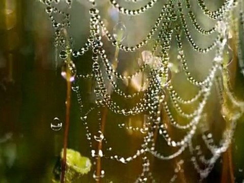 A jednak życie jest piękne...